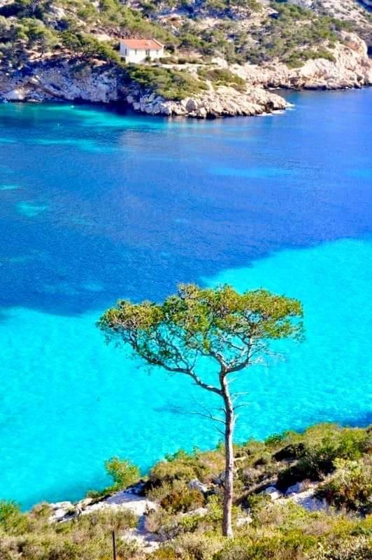 Mon Petit Paradis, Cassis Centre Apt 90 M2, 200 M Mer, Terr Plein Sud, Clim Park Prive Dış mekan fotoğraf
